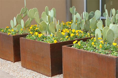 corten steel planter box too hot for plants|corten steel vs weathering steel.